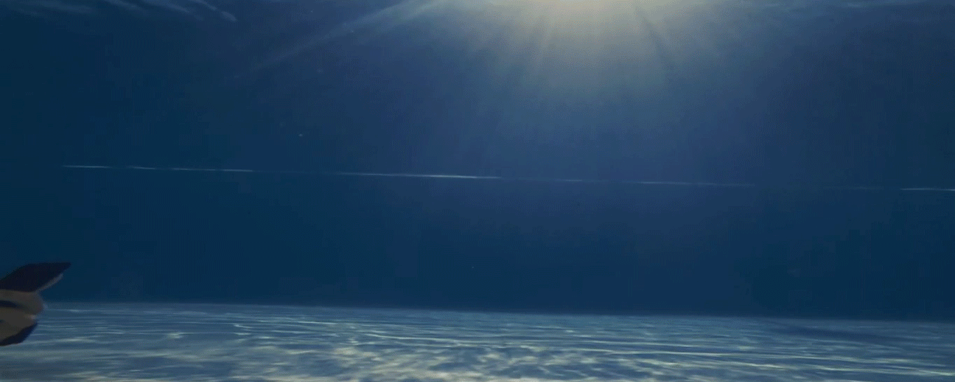 GiF - Taucher schwimmt am Handy tippend durch ein Becken