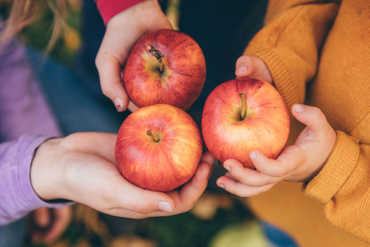 Äpfel in Kinderhänden