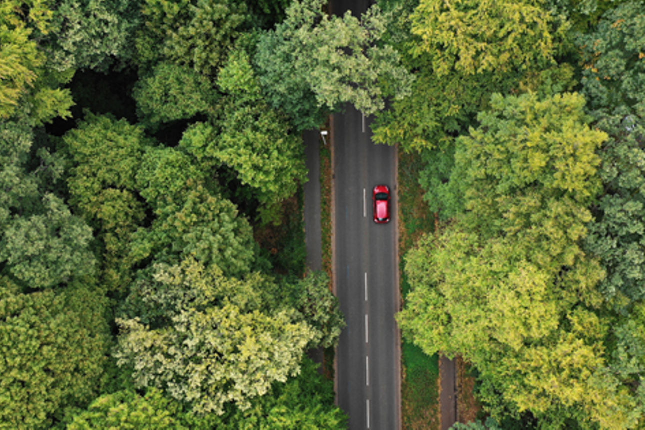 Ökologische Mobilität
