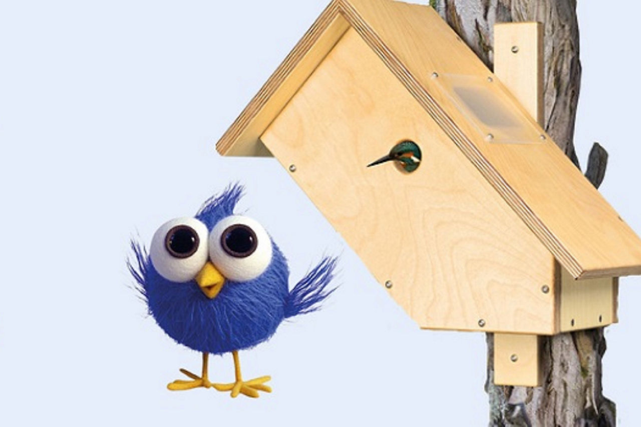 Ein blauer Vogel steht neben einem Vogelhaus.
