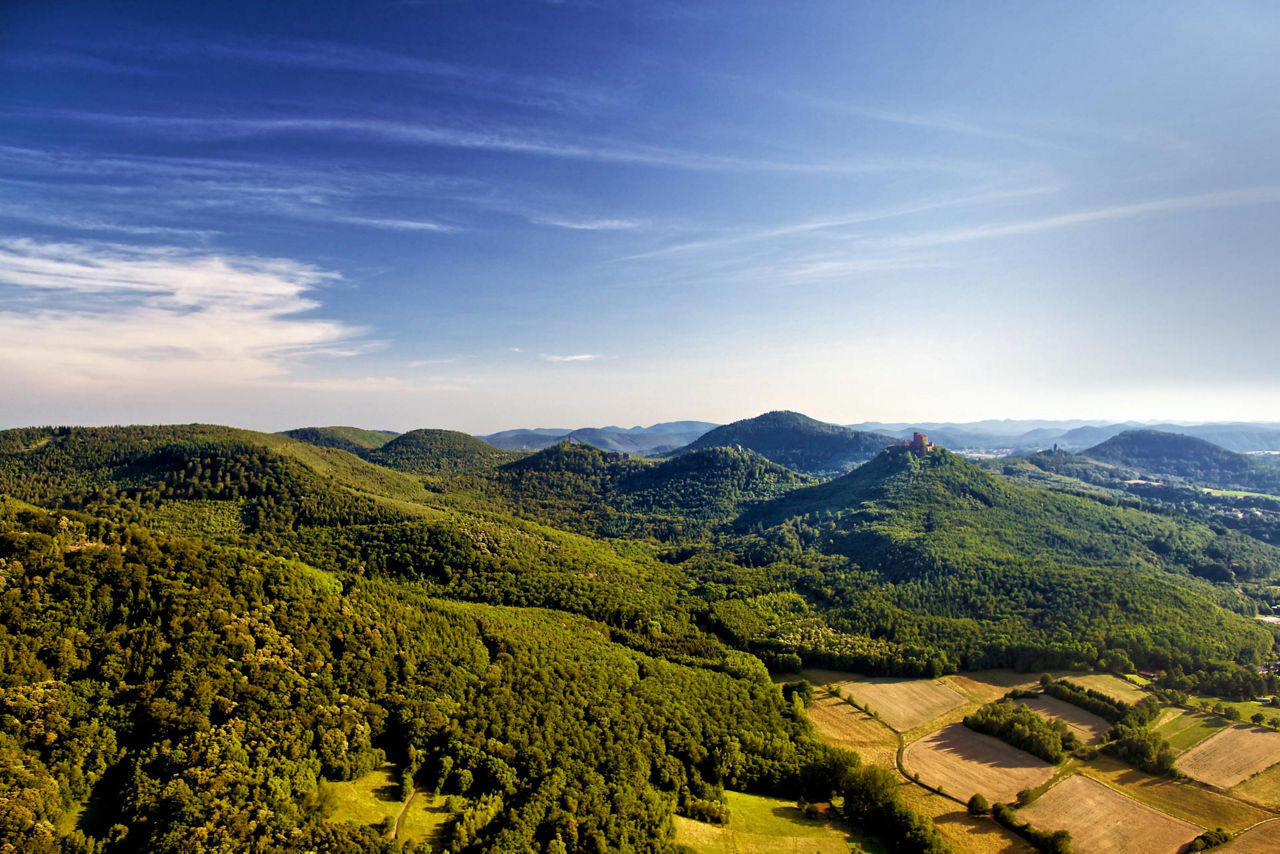 Luftaufnahme einer hügeligen Landschaft mit Wäldern, Feldern und blauem Himmel im Hintergrund