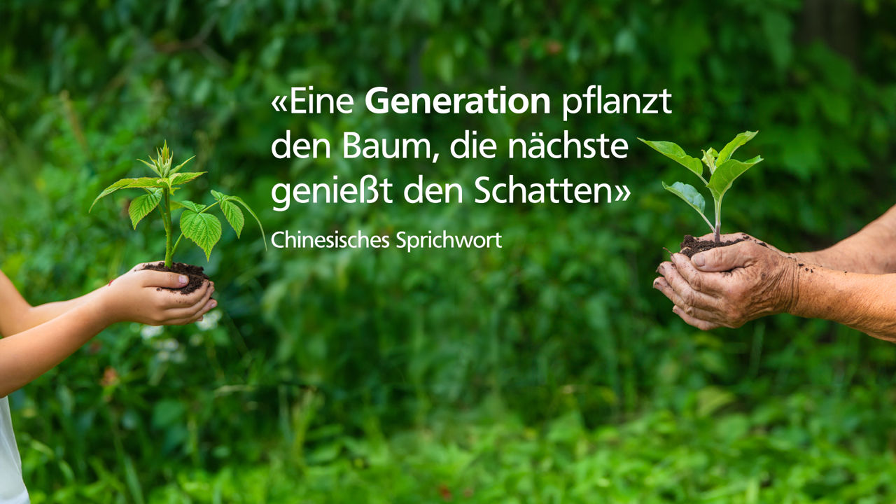 Ein Zitat über einem Naturfoto