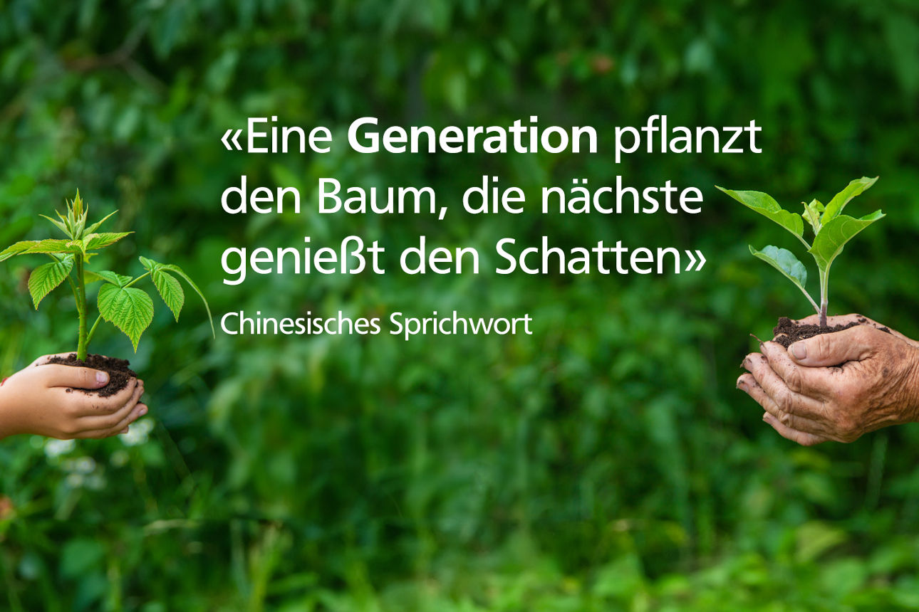 Ein Zitat über einem Naturfoto