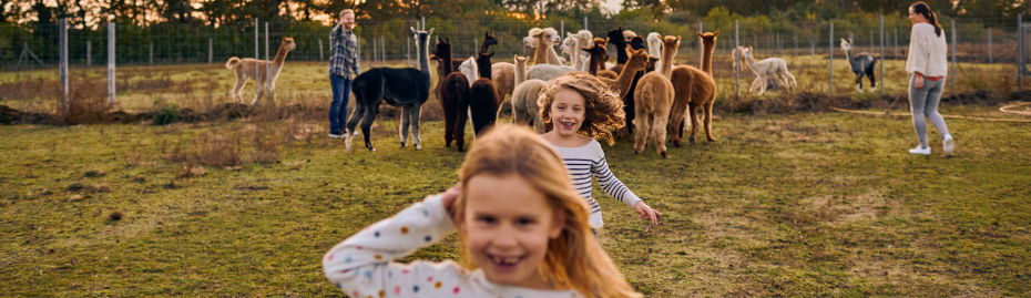 Kinder und Alpakas teilen einen fröhlichen Moment im Freien.