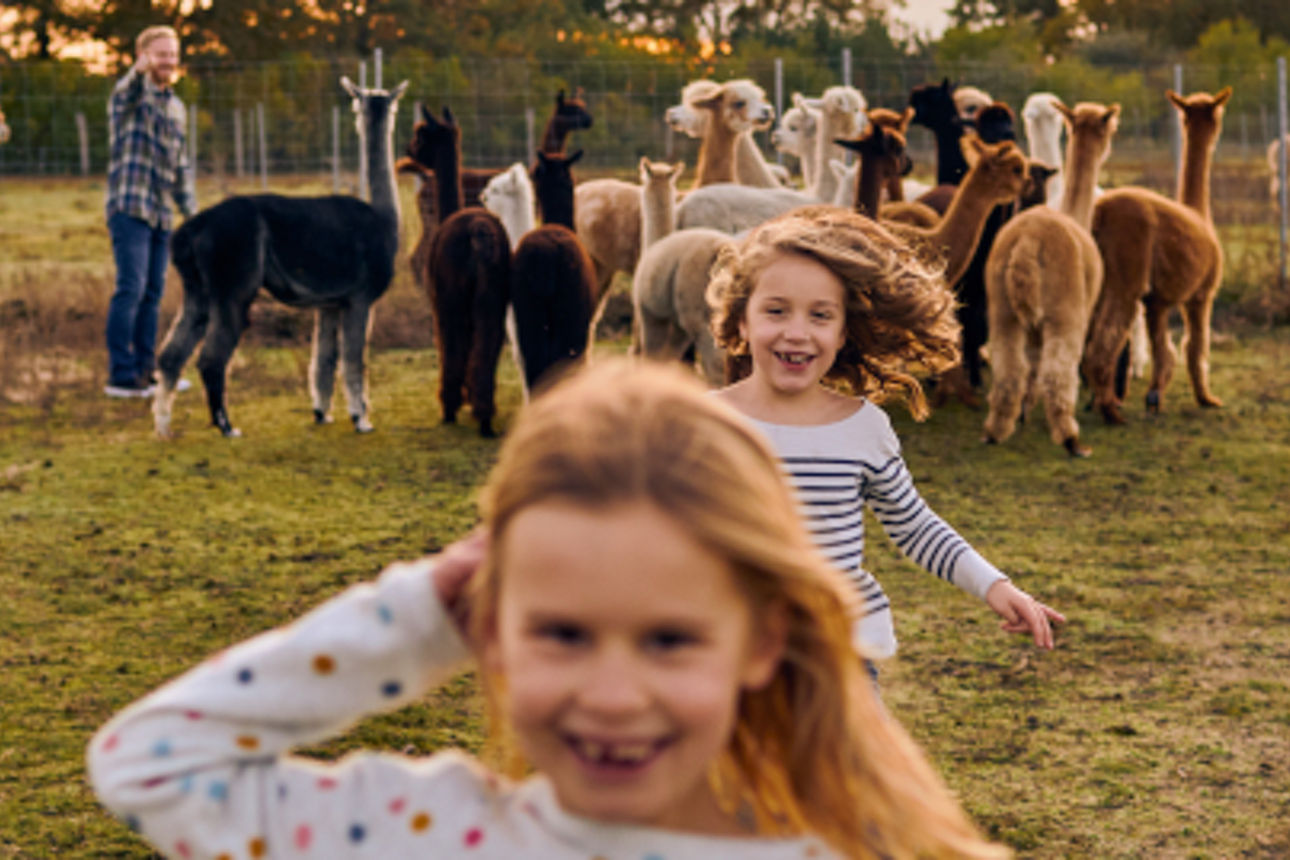 Kinder und Alpakas teilen einen fröhlichen Moment im Freien.