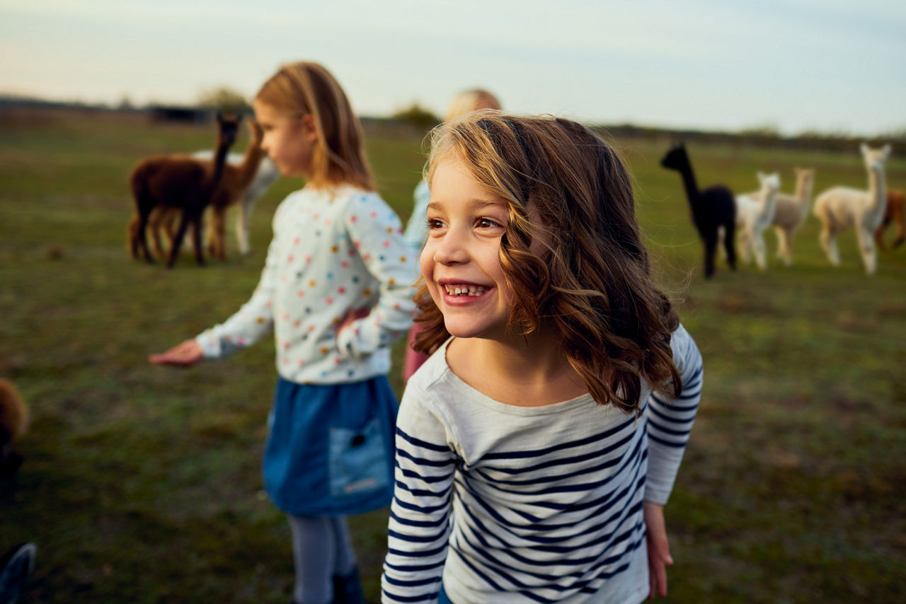 Kinder auf einer Alpakafarm