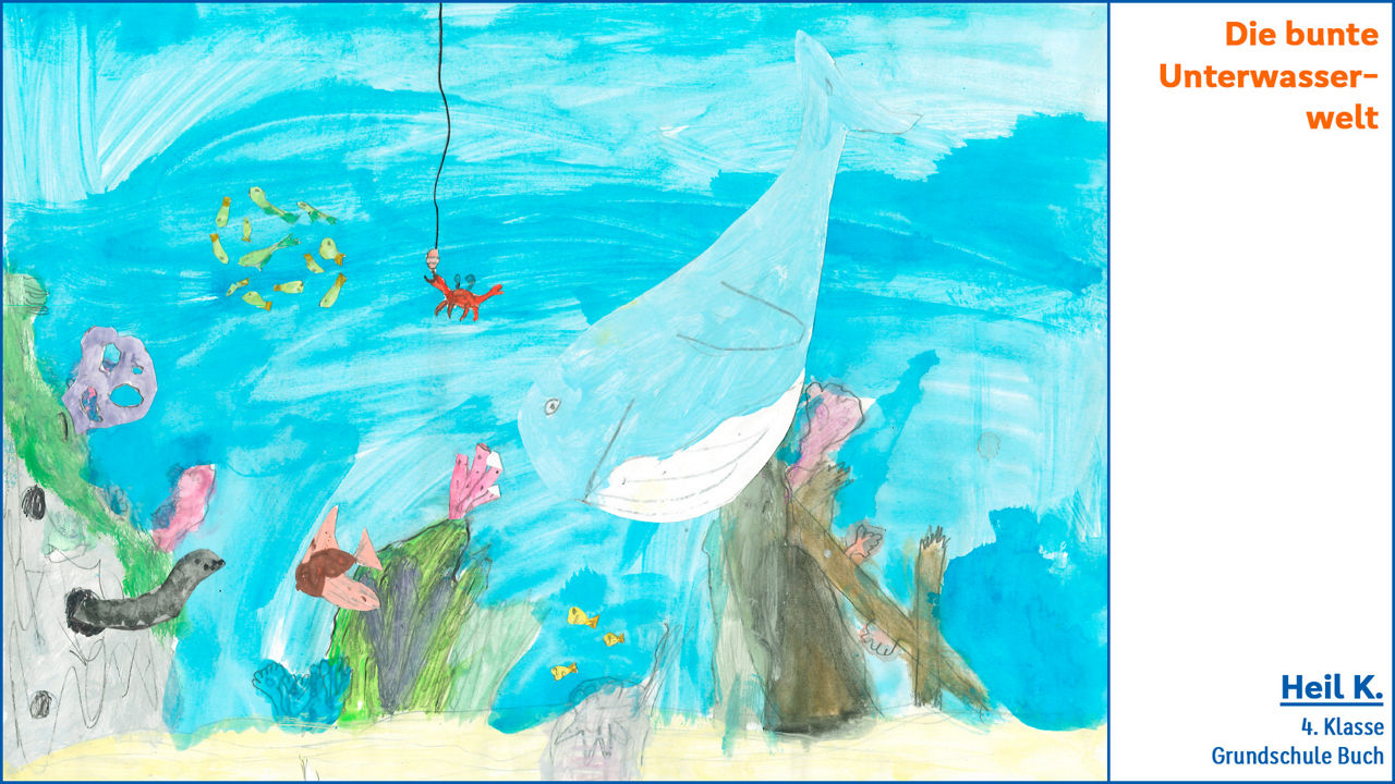Die bunte Unterwasserwelt