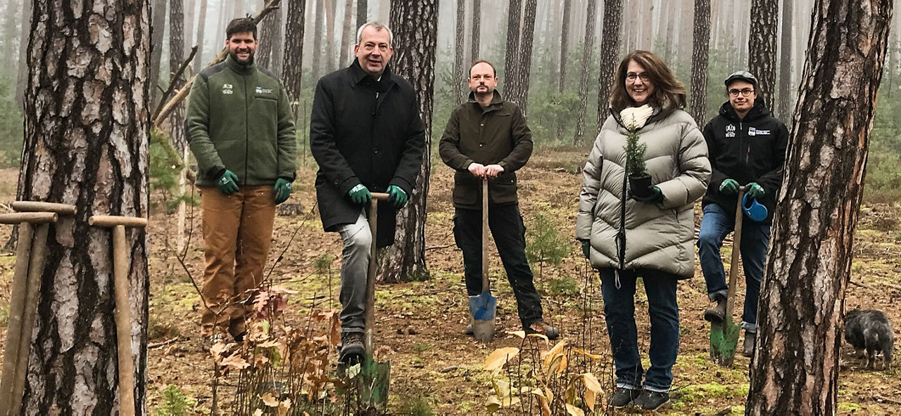 Mitarbeiter der Sparda-Bank stehen in einem Wald und pflanzen Bäume in Coburg