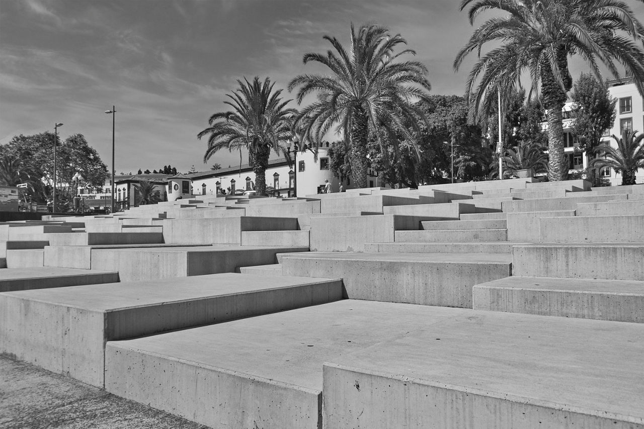 Mehrere breite, flache Betonterrassen in abgestuften Ebenen vor einer Reihe von Palmen und Gebäuden.