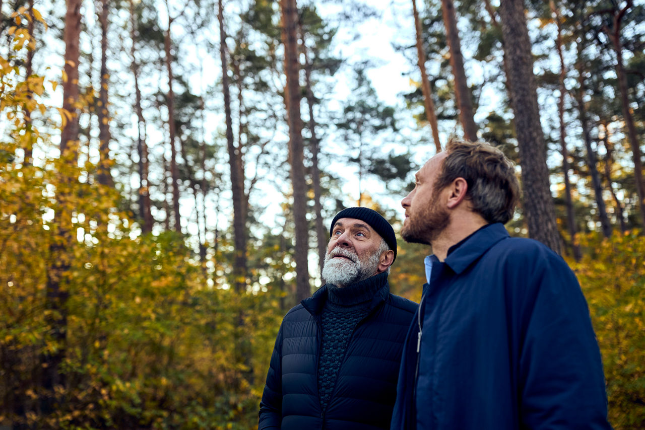 Zwei Männer stehen in einem Wald und Blicken nach oben
