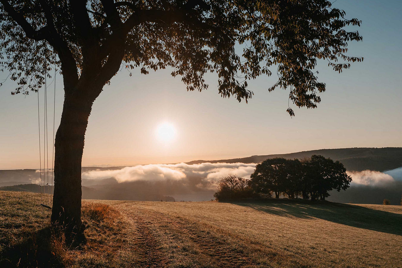 Baum mit einer Schaukel auf einem Hügel mit Sonnenaufgang im Hintergrund