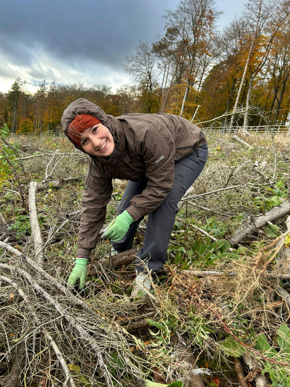 Eine Person pflanzt Setzlinge in einem bewaldeten Gebiet.