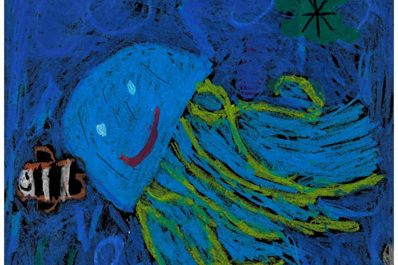 Zeichnung einer Qualle