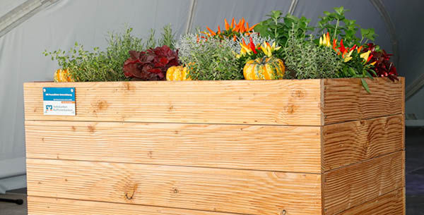 Ein hölzerner Blumenkasten steht vor einer hellgrauen Wand