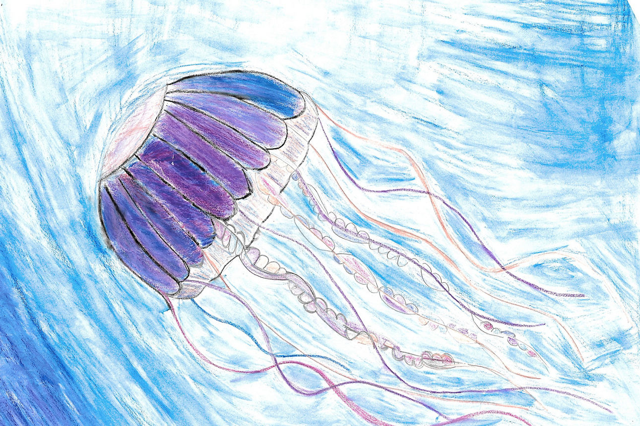 ,,Die Lila Qualle“