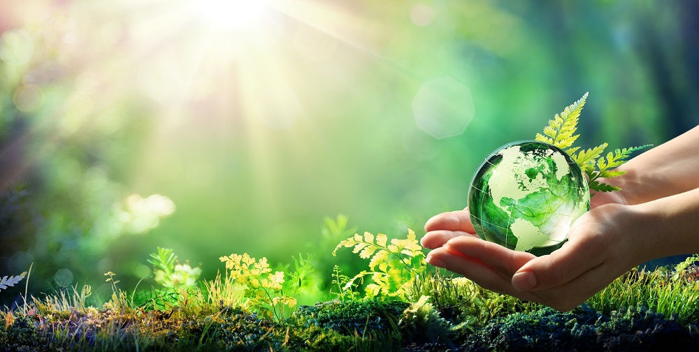 Hände halten Globus Glas im grünen Wald - Umweltkonzept