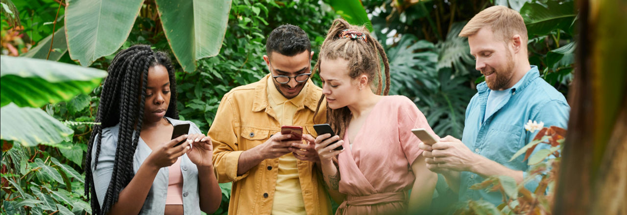 Vier Jugendliche im Grünen schauen auf Ihre Smartphones