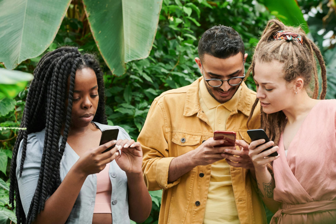 Vier Jugendliche im Grünen schauen auf Ihre Smartphones