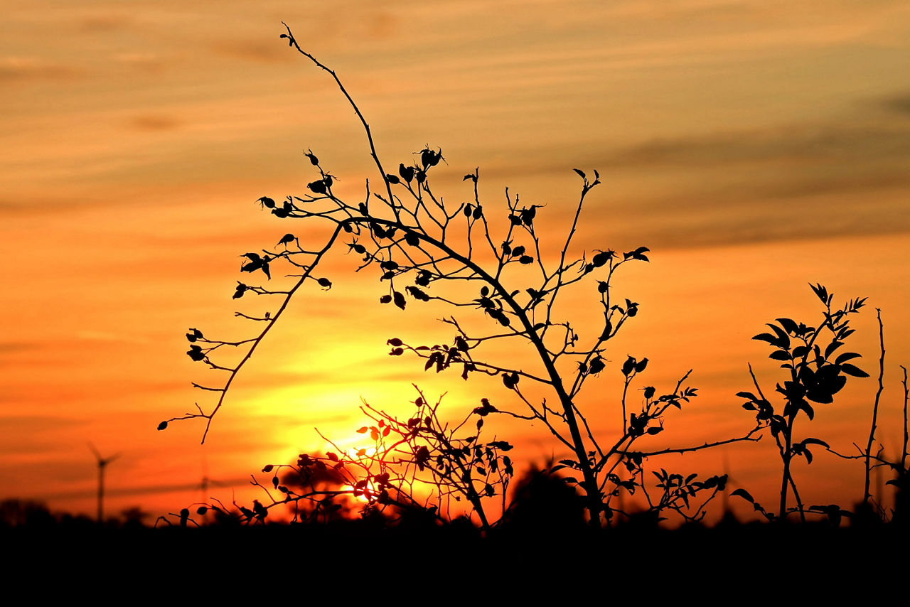 Sonnenuntergang bei Prettin