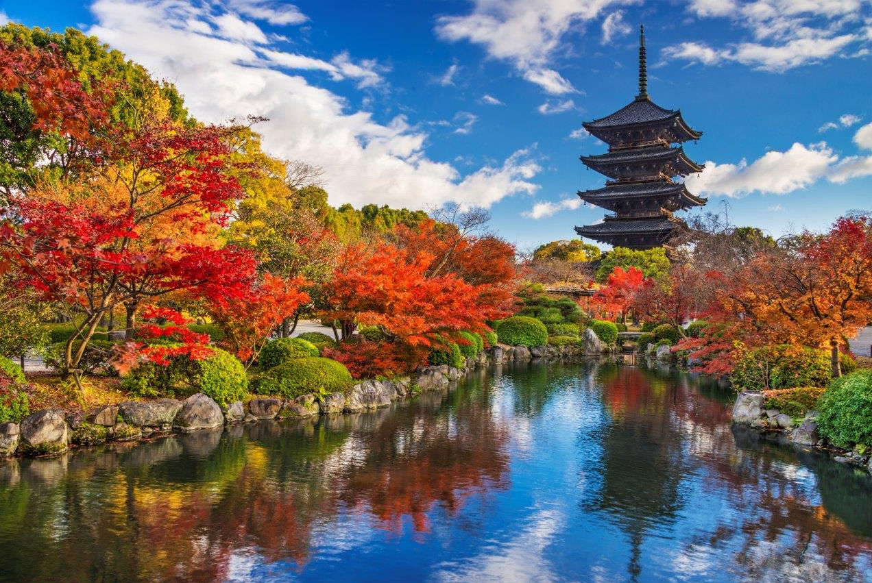 Blick auf japanischen Garten