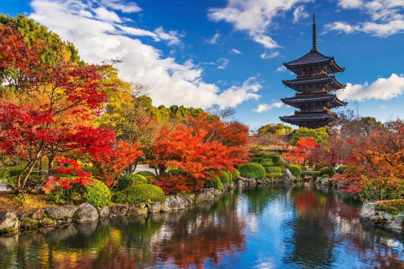 Blick auf japanischen Garten