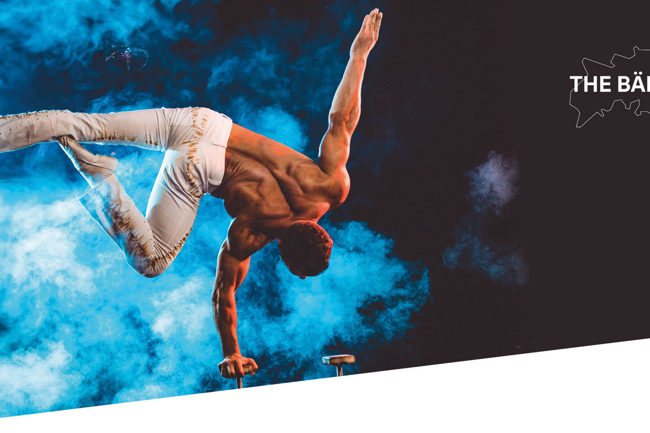 Foto von Artist auf der Mitglieder und Kundenveranstaltung