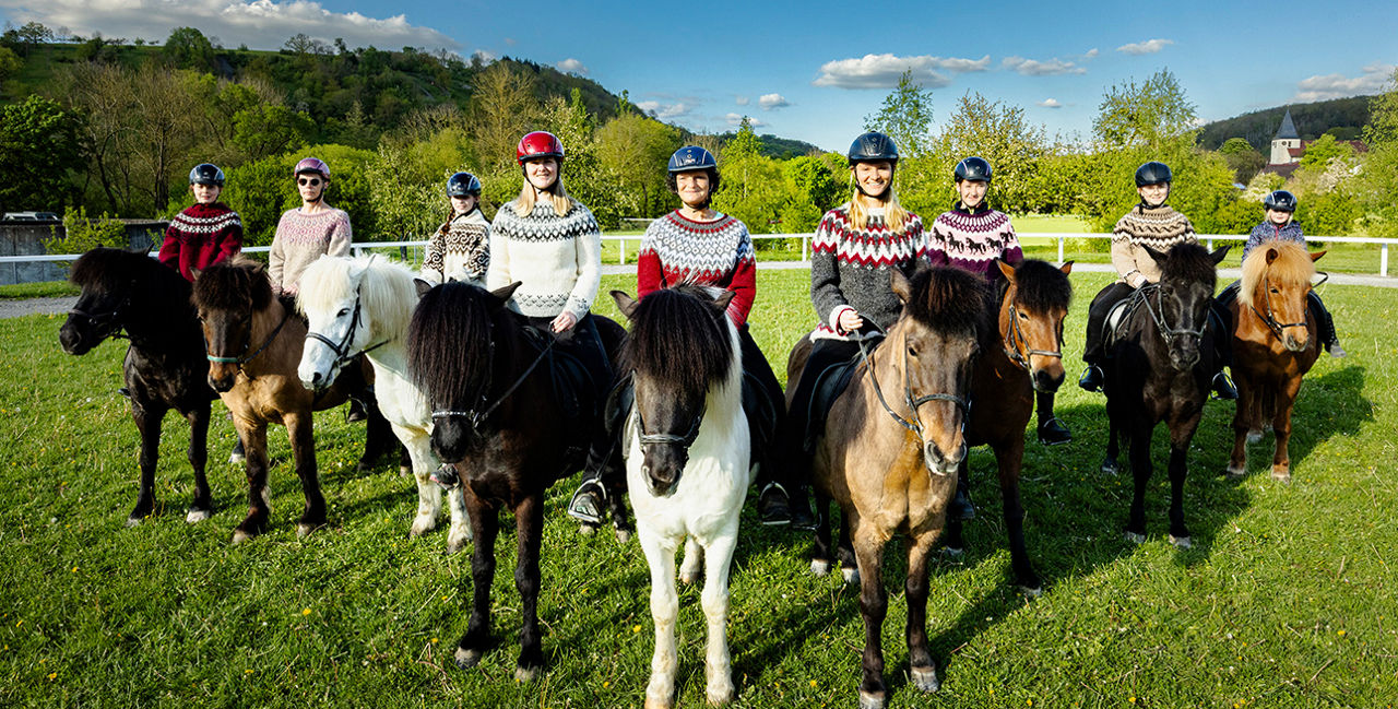 Gruppenbild der Islandpferdefreunde Hohenlohe-Tauber e.V. mit ihren Pferden