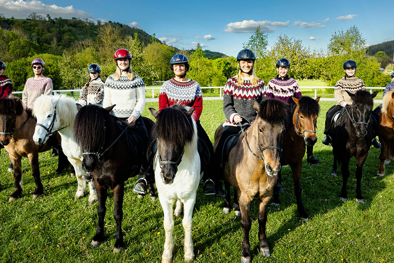 Gruppenbild der Islandpferdefreunde Hohenlohe-Tauber e.V. mit ihren Pferden