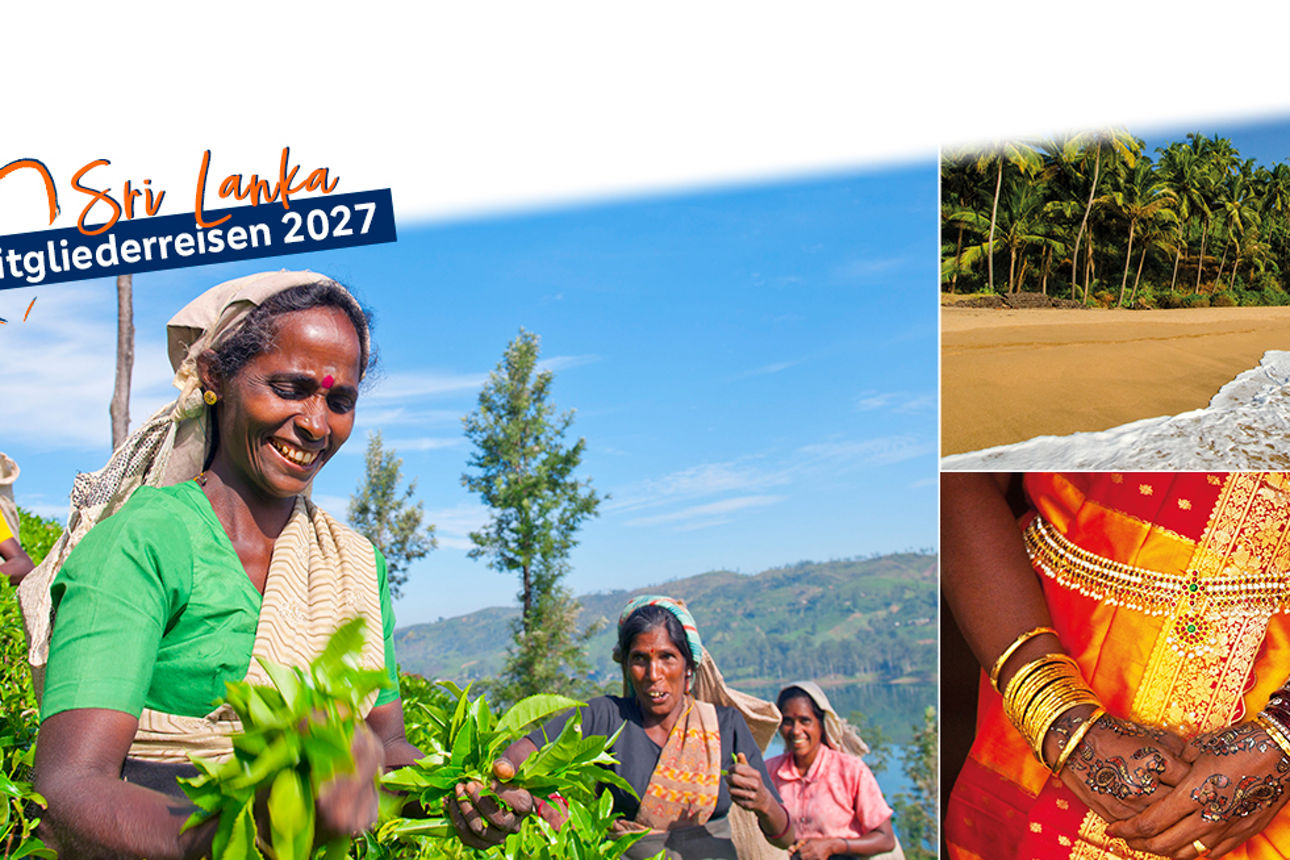 drei Bilder in einer Collage von SriLanka