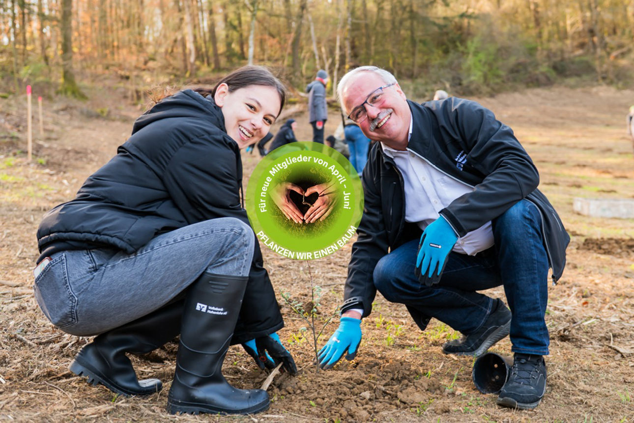 Sie sehen eine Frau und einen Mann im Wlad Bäume Pflanzen. Text: Für neue Mitglieder von April -Juni. Pflanzen wir einen Baum