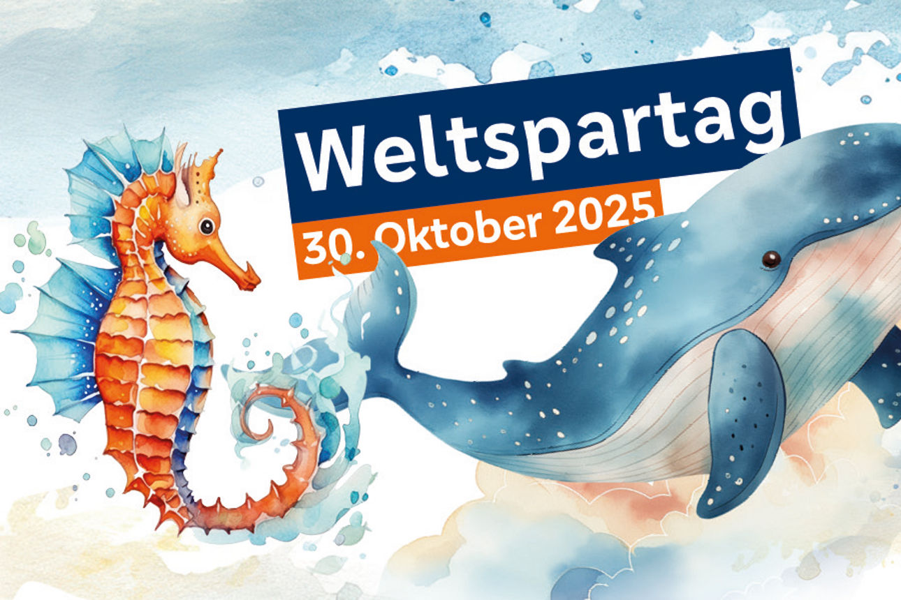 ein gezeichnetes Seepferdchen, ein Wal und eine Schildkröte