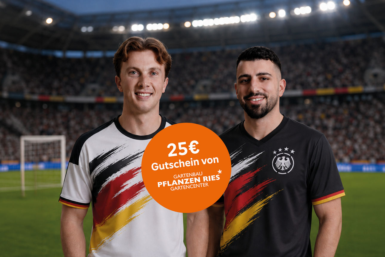 Versicherungscheck