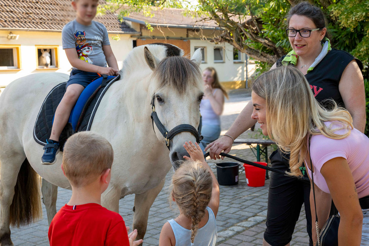 Kinder streicheln ein weißes Pferd