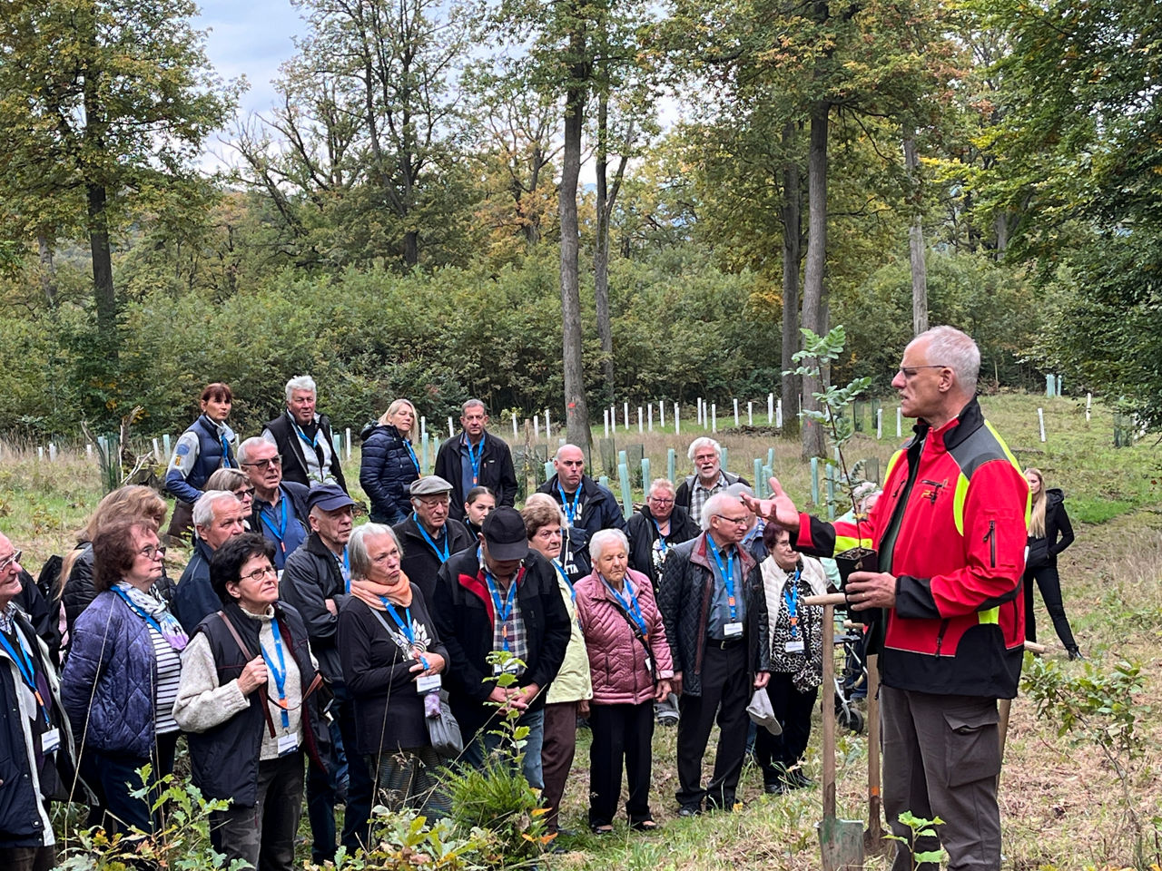 Die Pflanzlöcher für die 200 Setzlinge waren vorbereitet. Nun heißt es: einsetzen.