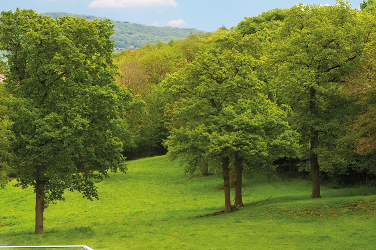 Eine grüne Fläche worauf ein umriss von einer Immobilie zu sehen ist