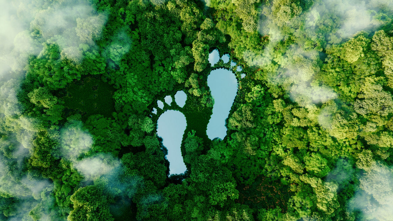 Der Hintergrund des gesamten Bildes sind grüne Baumkronen. Darauf sind mittig zwei große himmelblaue Fußabdrücke.