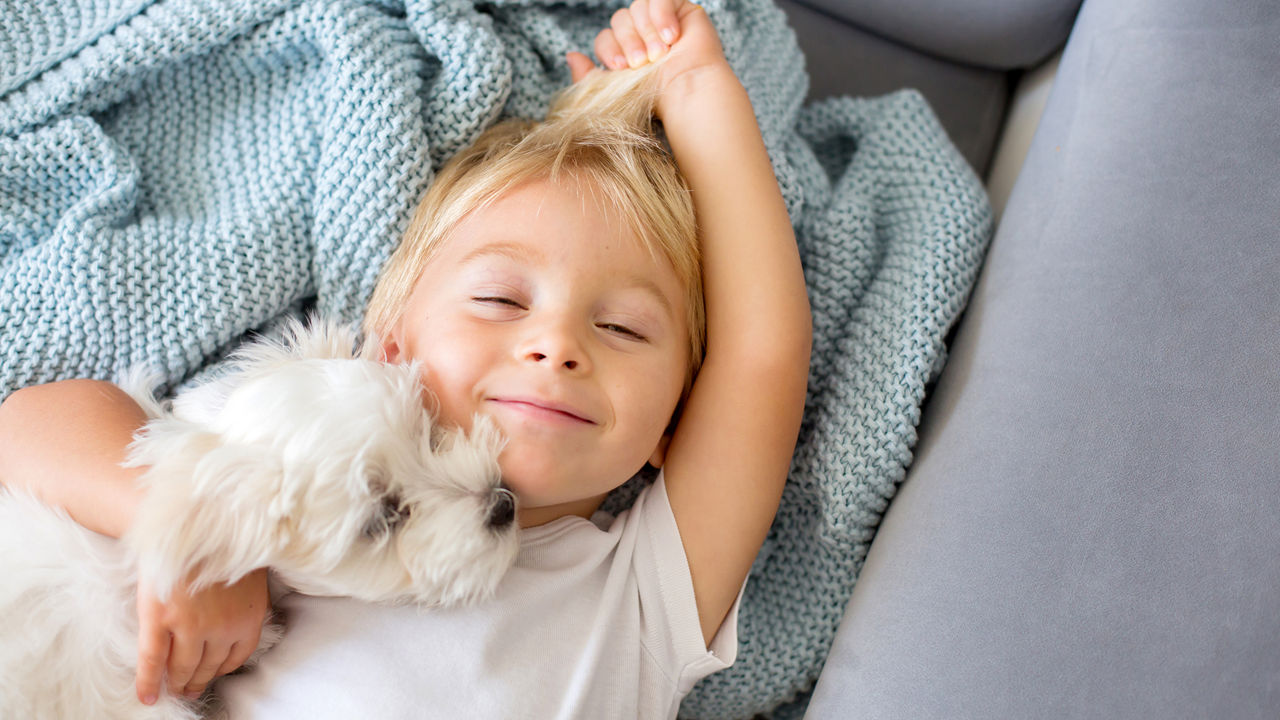 Kleines Kleinkind, Junge, liegt im Bett mit Haustierhund, kleinem Malteser-Welpen.
