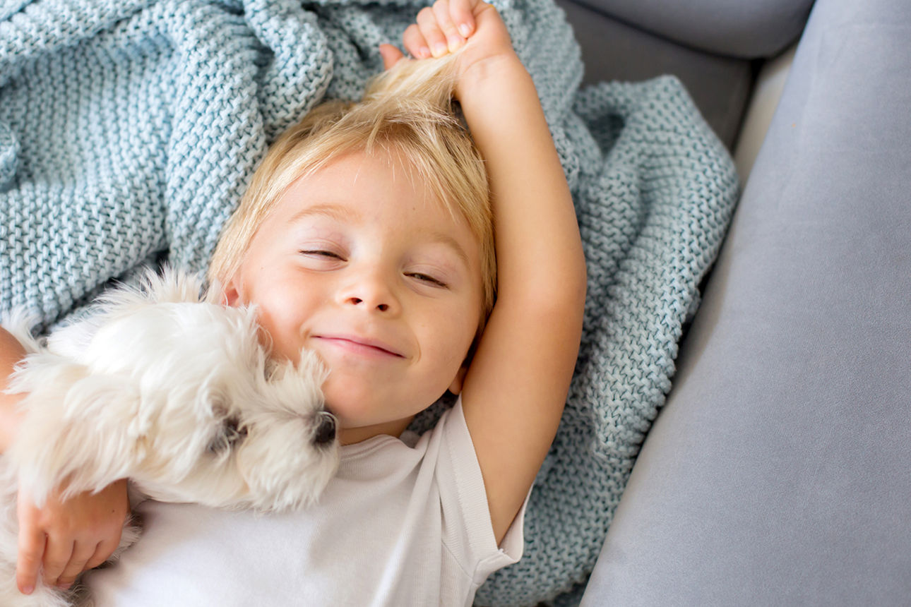 Kleines Kleinkind, Junge, liegt im Bett mit Haustierhund, kleinem Malteser-Welpen.