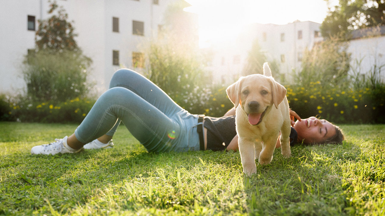 Eine Frau liegt im Gras, vor ihr steht ein Hund und schaut neugierig in die Kamera      