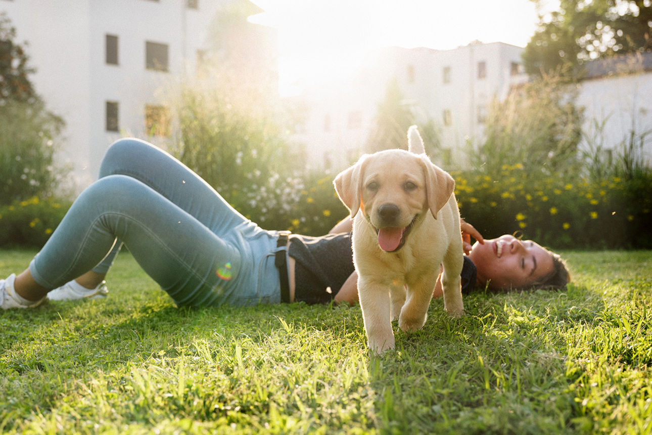 Eine Frau liegt im Gras, vor ihr steht ein Hund und schaut neugierig in die Kamera      