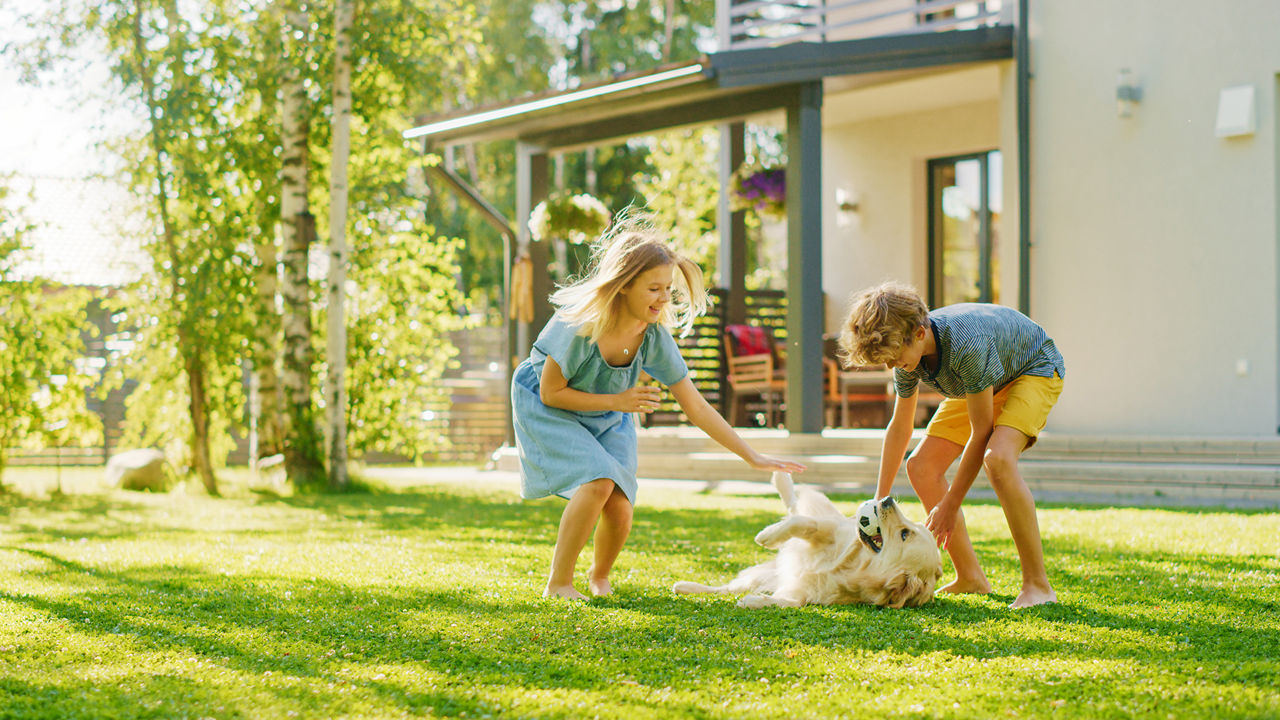 Zwei Kinder spielen im Garten mit einem Hund. 