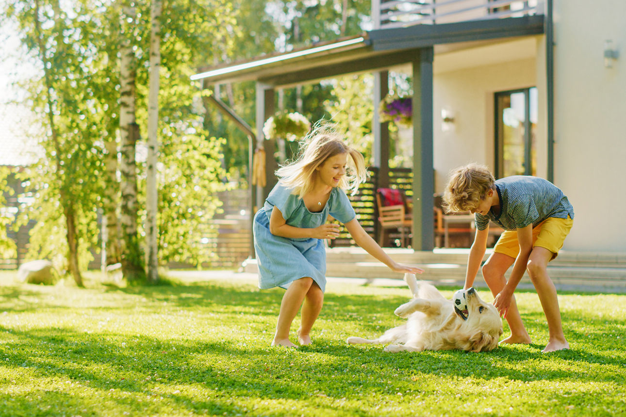 Zwei Kinder spielen im Garten mit einem Hund. 