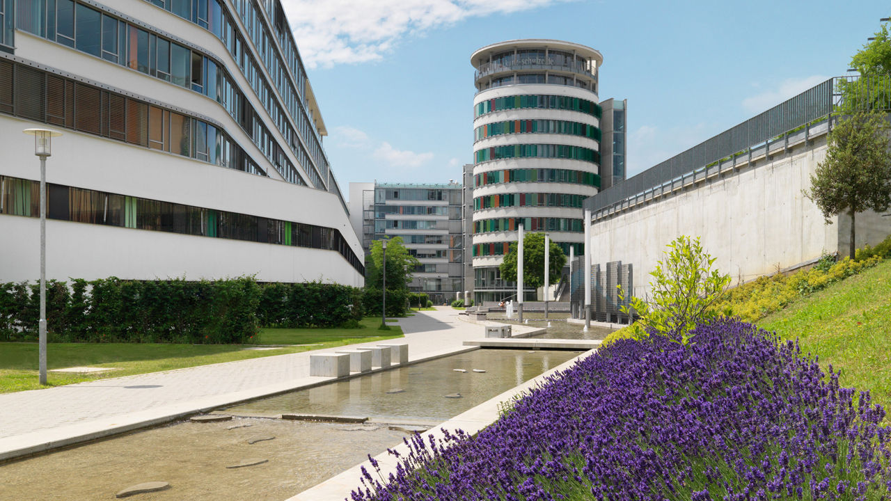 Innenhof des Bankgebäudes der PSD Bank Karlsruhe-Neustadt. Abgebildet ist ein Weg, Grünfläche, ein länger Teich und Lavendel