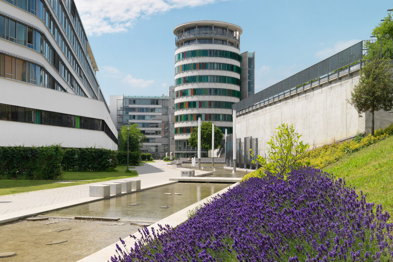 Innenhof des Bankgebäudes der PSD Bank Karlsruhe-Neustadt. Abgebildet ist ein Weg, Grünfläche, ein länger Teich und Lavendel