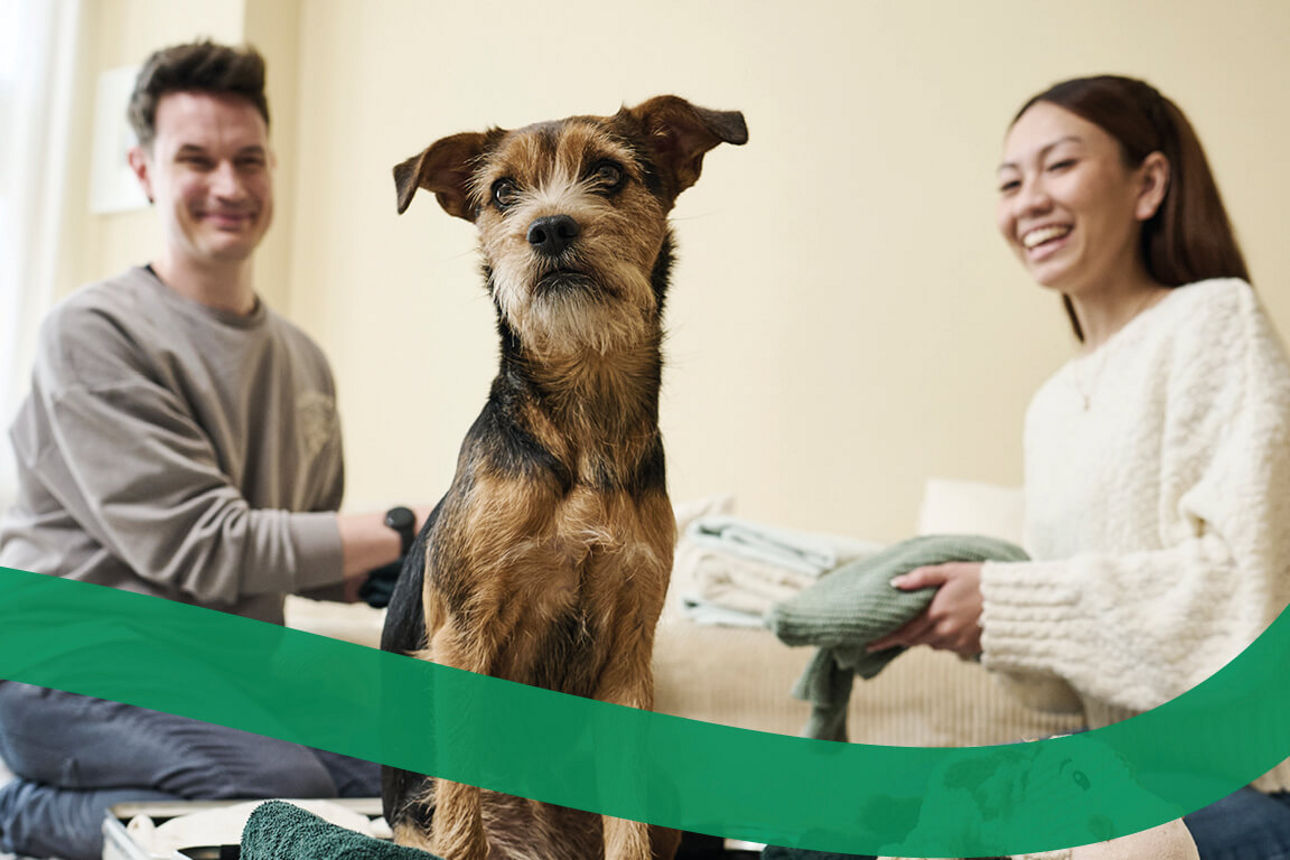 Im Wohnzimmer sitzt ein Paar auf dem Boden und packt seinen Koffer für den Sommerurlaub. Im Koffer sitzt auch ein Hund.