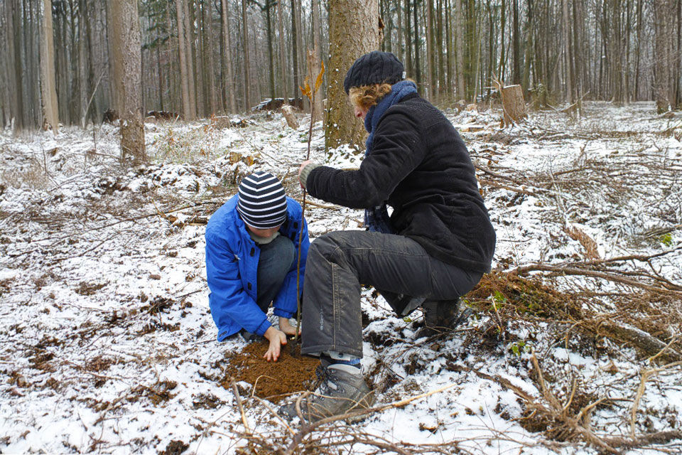 Mutter und Sohn beim pflanzen eines Baums