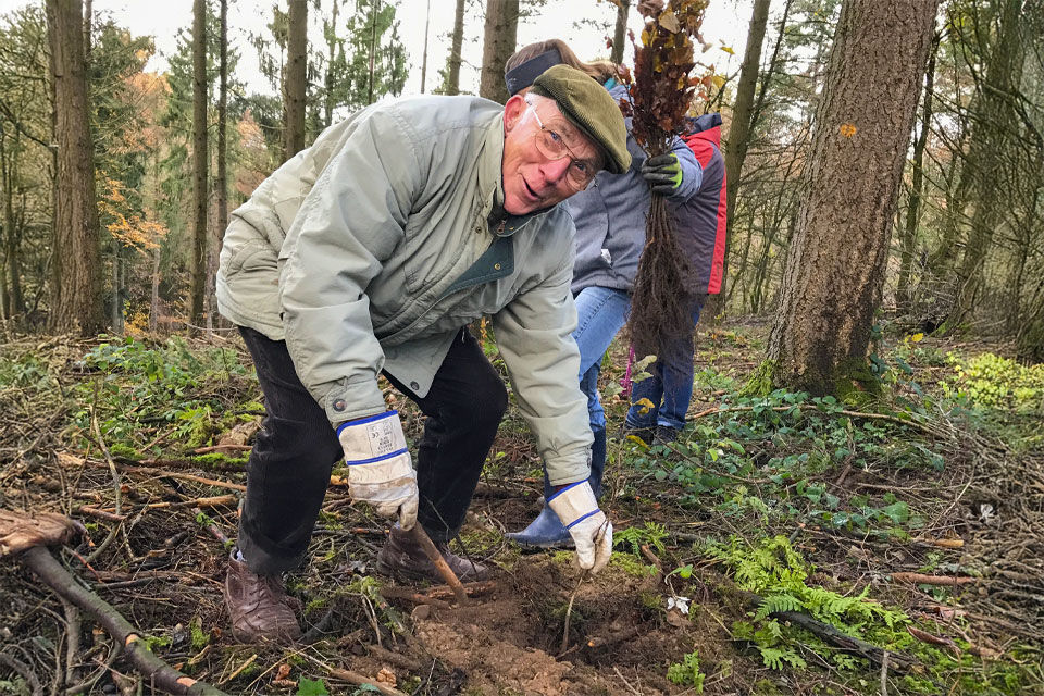 Älterer Mann beim pflanzen eines Baums