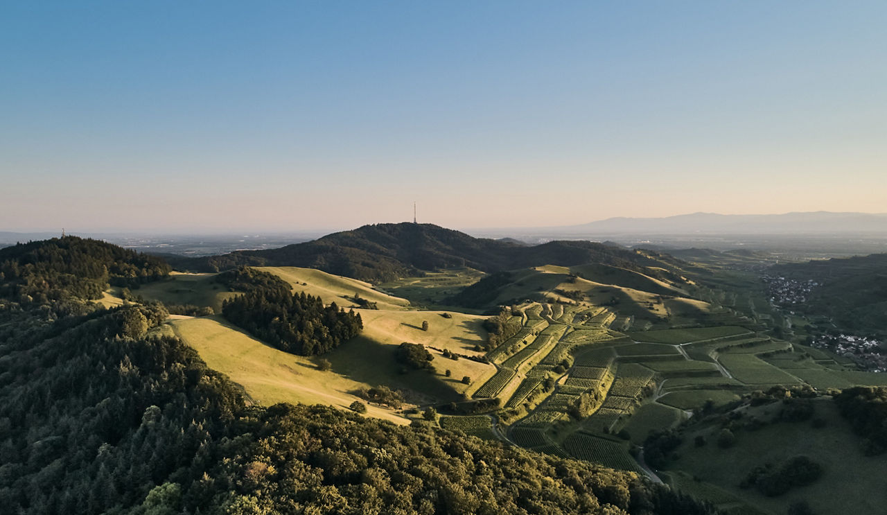 Weinberge am Kaiserstuhl