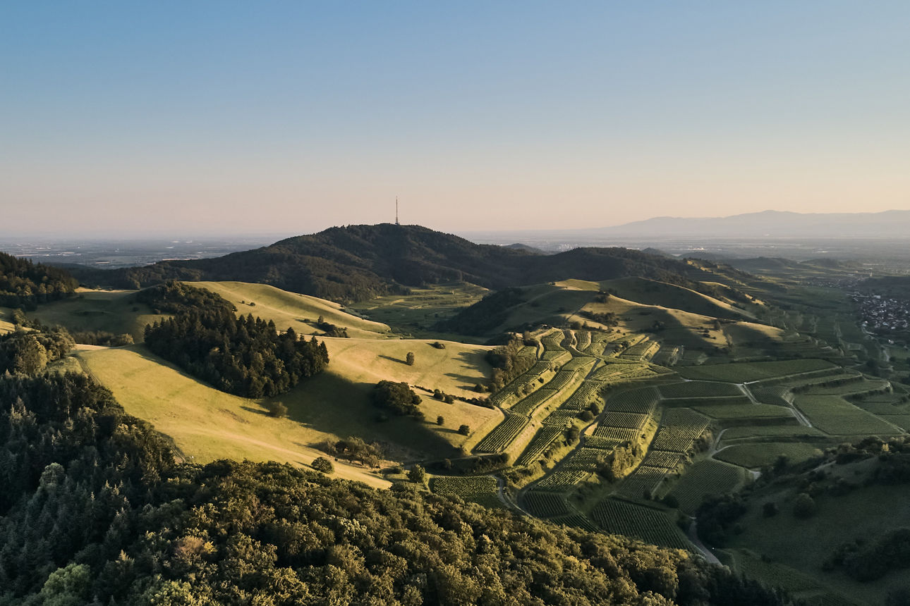 Kaiserstuhl