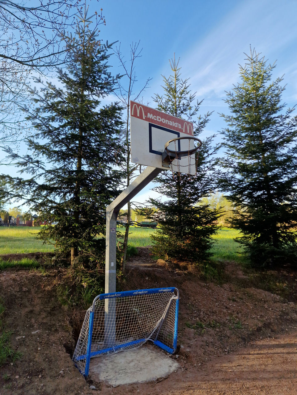 Alte Basketballkorb steht vor einem Baum